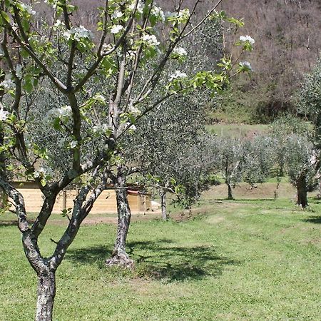 Shaleo Holiday Home Marliana Esterno foto