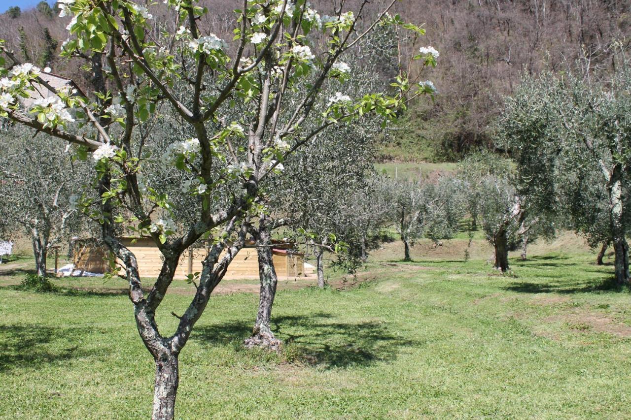 Shaleo Holiday Home Marliana Esterno foto