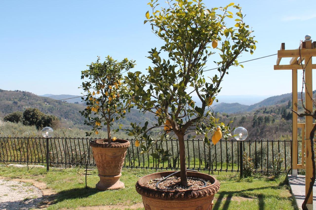 Shaleo Holiday Home Marliana Esterno foto