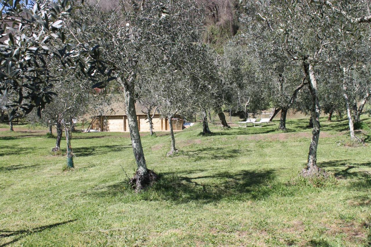 Shaleo Holiday Home Marliana Esterno foto
