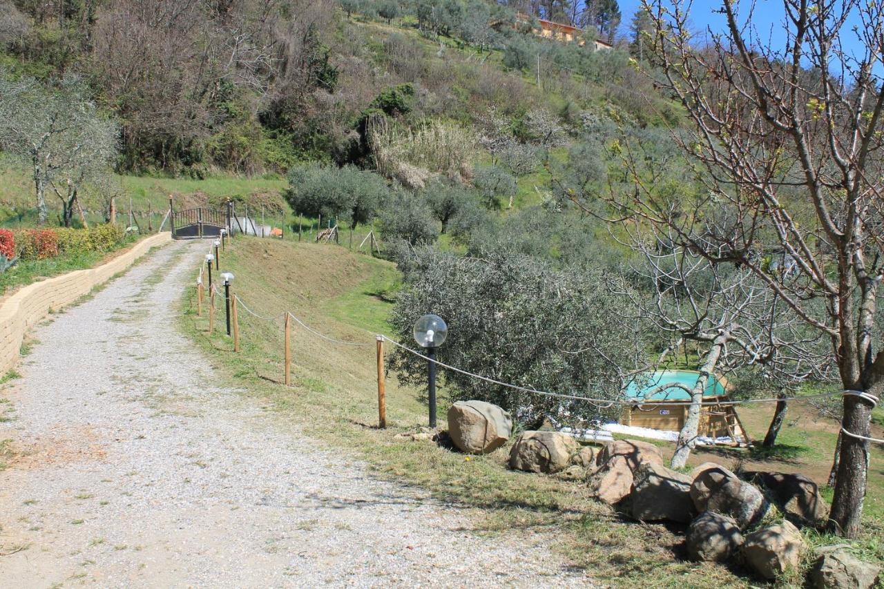 Shaleo Holiday Home Marliana Esterno foto
